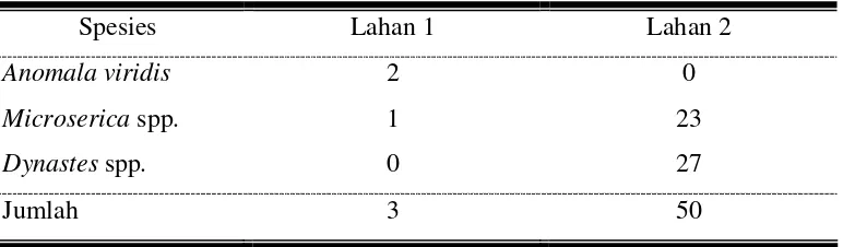 Tabel 3. Sebaran spesies uret di dua lahan di Kalisoro. 