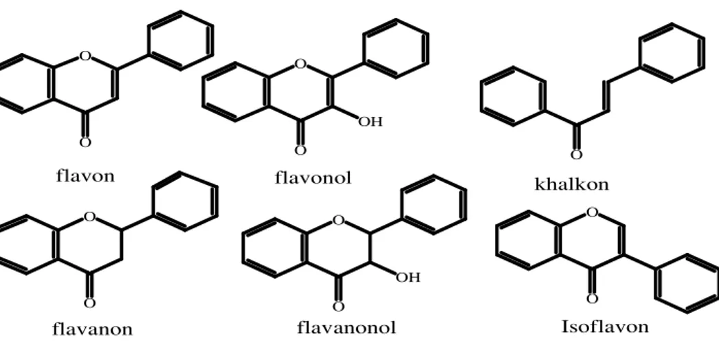 Gambar 5. Senyawa-Senyawa Golongan  Flavonoid (Achmad, 1986) 