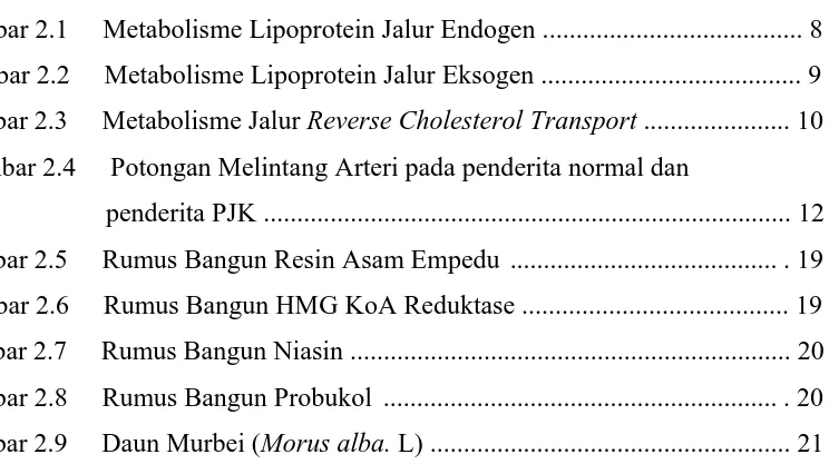 Gambar 2.1 Metabolisme Lipoprotein Jalur Endogen ......................................