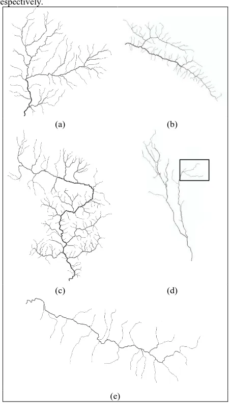 Figure 8.  Reticulate pattern in river networks, the solid lines are rivers, and the bold solid lines are reticulate part in the river network