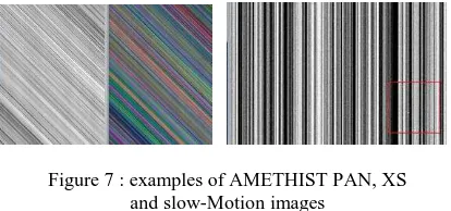 Figure 7 : examples of AMETHIST PAN, XS and slow-Motion images 