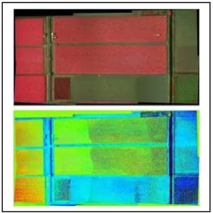 Figure 10. Generated UAV mosaic image of a crop field. The upper image is in false colour and the lower image is generated NDVI  