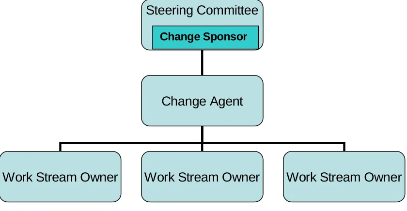 FIGURE 1 Basic Governance Structure for Change 