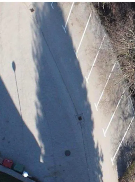 Figure 8.  A subset of orthophoto map with ground pixel size of 3 cm   