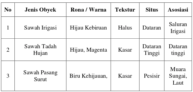 Tabel 1. 5 Tabel Kunci Interpretasi Sawah 