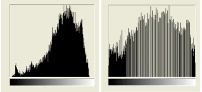 Gambar 5. Histogram equalization [5]  