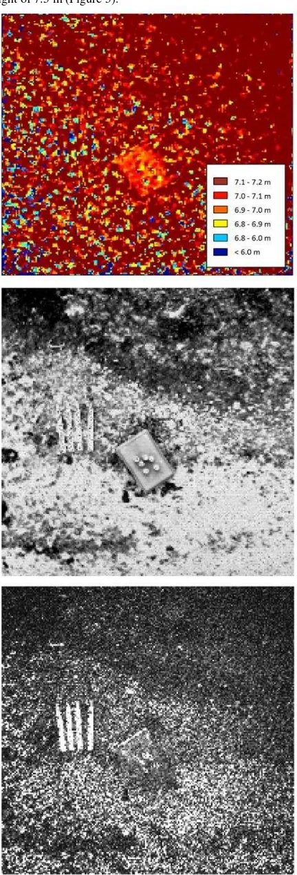 Figure 5: Aerial range image (7.5 m flight height) (Kohoutek et al. 2011) top: median filtered single distance image, middle: single intensity image, bottom: single amplitude image 