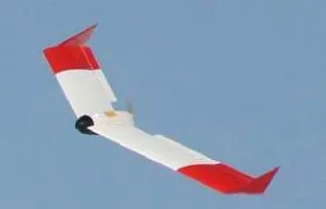Figure 1:  PAMS UAV (Germap, 2012).  
