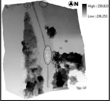 Figure 11.  DSM with encircled wrong interpolations (heights in m a.s.l.) 