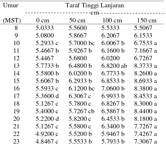 Gambar 6. Lebar Daun pada Berbagai Taraf Tinggi Lanjaran 