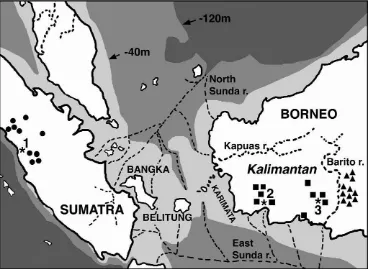 Figure 1. Partial map of Indonesia showing original localities of gibbons of known origin in the islands of Sumatra and Borneo, andhistorical sea level changes of Sunda land at the last glacial period