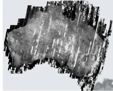 Figure 1.  AGRI national mosaic of ALOS PRISM imagery. 