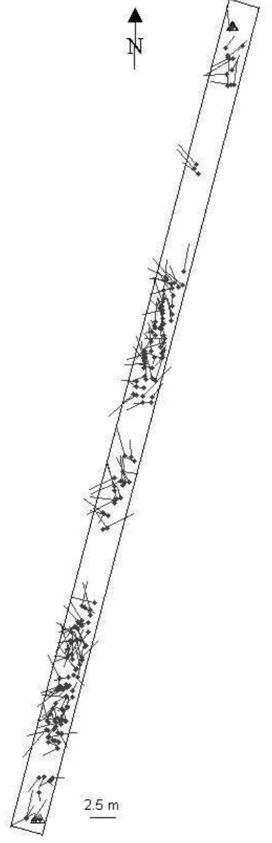 Figure 3.  55-scene, 1527km-long PRISM strip showing 4 GCPs (triangles) and discrepancy vectors in planimetry at 194 check points