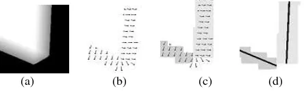 Figure 1.  Phase-based LSR extraction. (a) Original image. (b) Edge phase. (c) Phase-based grouping
