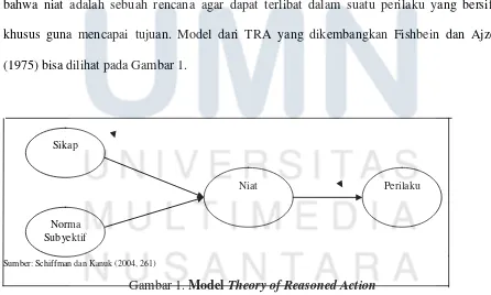 Gambar 1. Model Theory of Reasoned Action 