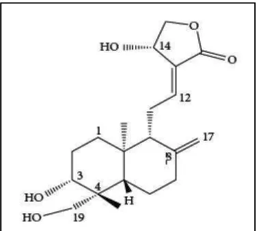 Gambar 2.2. Struktur Kimia Andrografolid (Depkes RI, 2008) 