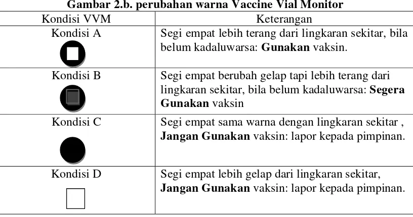 Gambar 2.b. perubahan warna Vaccine Vial Monitor 