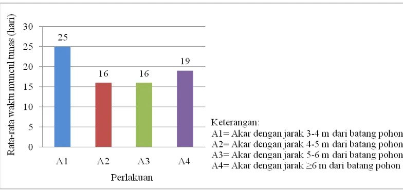 Gambar 2. Grafik rata-rata waktu muncul tunas pada stek akar sukun pada masing-masing perlakuan