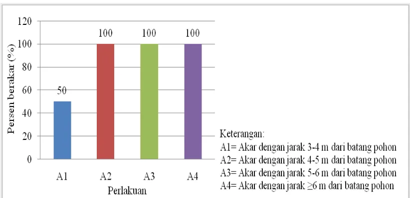 Gambar 4. Grafik nilai rata-rata diameter tunas pada masing-masing perlakuan.  