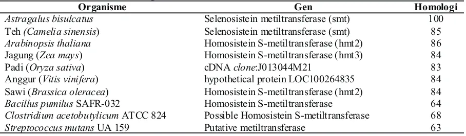 Tabel 1 Hasil Pencarian Homologi Gen smt A. bisulcatus