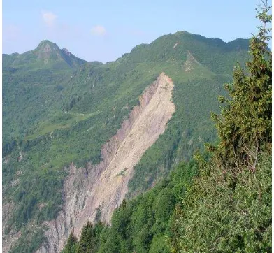 Figure 1.  The body of the landslide. 