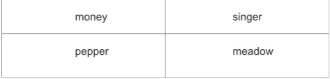 Fig. 1 e Example grid used to depict words in Experiment 3.