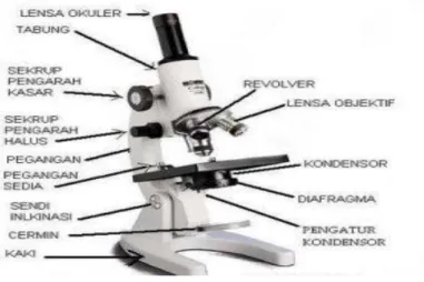Gambar 16. Bagian Mikroskop 