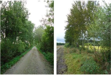 Figure 2 Examples of target objects in test site: vegetation beside streets (left), unploughed strips (right)