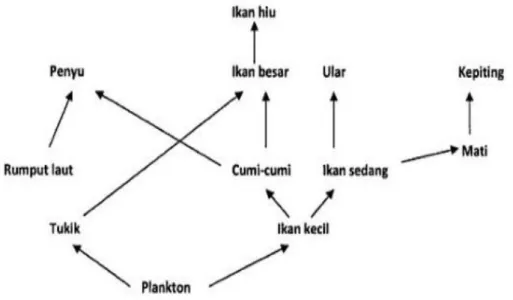Gambar untuk soal 24 - 25 