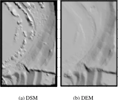 Figure 2-4 are DSM (Digital Surface Model) generated by raw 
