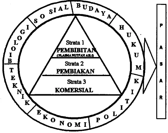 Gambar 2. Diagram produksi sistem 3 strata (Modifikasi dari Khusahry el a/. , 1999)