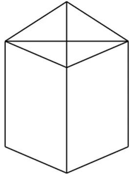 Gambar berikut merupakan bentuk yang sederhana dan diberi nama ” X “ 