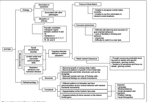 Figure 1 Conceptual framework of Autism.