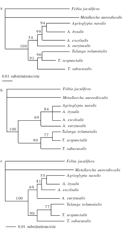 Figure 3. Phylogenetic trees, a. NJ trees based on concatenated of EF-1α and COII using all substitutions; b