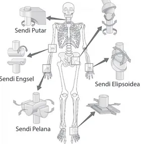 Gambar Macam sendi Sumber: Atlas Anatomi