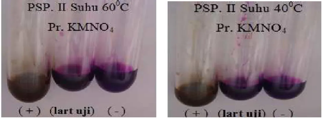 Gambar  4.4.  Pengulangan  suhu    perlakuan  II  destilat  sampel  suhu  40,60,80, dan 100 0 C ditambah pereaksi KMNO 4 