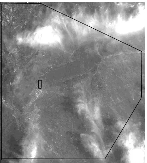 Figure 4. ALOS image of Hongkou, Sichuan, China 