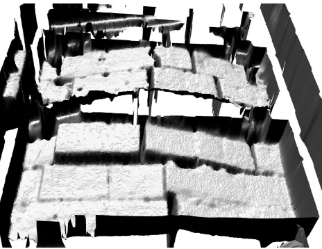 Figure 1:Analysis of the deformation of a wall, Baalbek,Lebanon. Horizontal deformations are magniﬁed 10 times