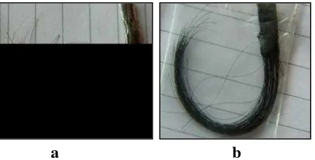 Gambar 4.1. Pengaruh perbedaan konsentrasi pirogalol dan tembaga (II) sulfat terhadap perubahan warna rambut uban dengan lama perendaman 4 jam