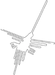 Figure 3. The most popular geoglyphs: Hummingbird, 95 m 