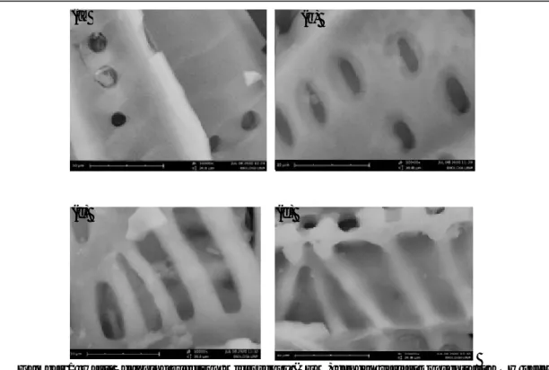 Gambar 1  Hasil Scanning Electron Microscopy (SEM) dengan variasi konsentrasi KOH pada  perbesaran 10.000x  a