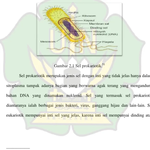 Gambar 2.1 Sel prokariotik. 51