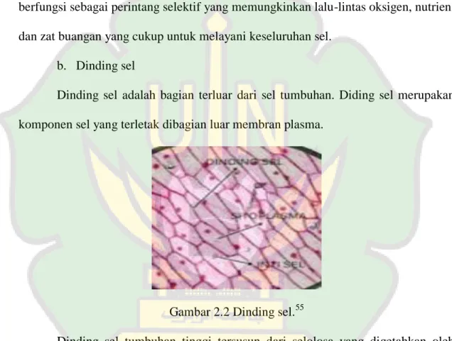 Gambar 2.2 Dinding sel. 55
