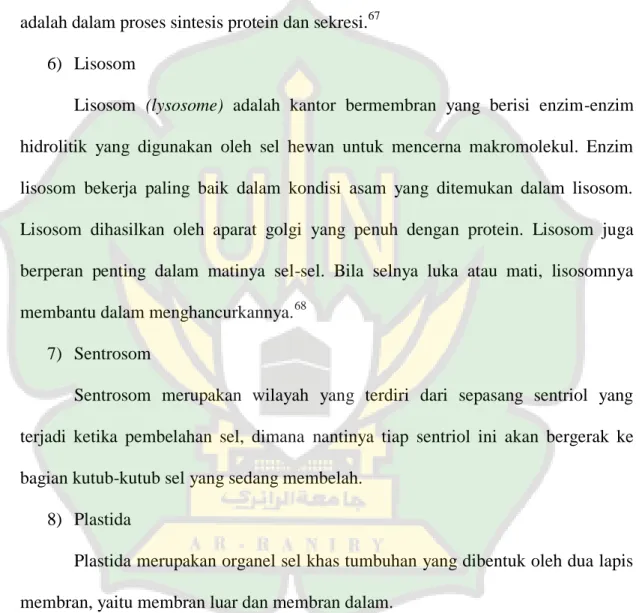 Gambar 2.8 Badan golgi. 66