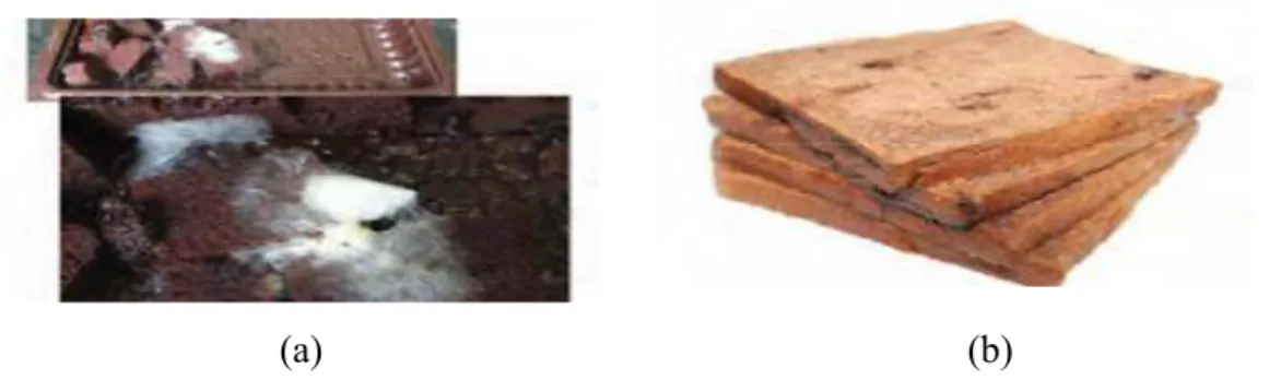 Gambar 2.4  (a) Pengawet Alami Bolu Berjamur, (b) Pengawet Buatan  Roti Tawar  tidak berjamur 42     