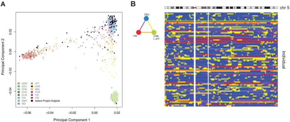 Figure 1. Principal components analysis (PCA) of ASD project genotypes with 1000 Genomes data and local ancestry: Puerto Ricans from Puerto Rico; Yellow: Heterozygous CEU/CHB+JPT; Orange: Heterozygous CHB CEU: Utah Residents (CEPH) with: Finnish in Finland