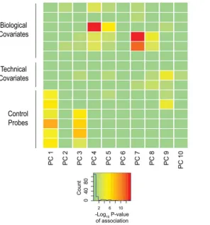 Figure 2. Biological and technical confounders contribute to methylation value variation