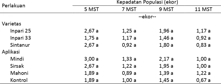 Tabel 15. Kepadatan populasi Phaederus sp. pada budidaya padi organik, Sukamandi MK 2016