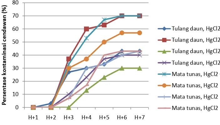 Gambar 2 Grafik kecepatan kontaminasi cendawan selama seminggu pengamatan 