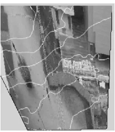 Figure 7. Fragment from orthophotographic rectification  results with contours (interval 0.5 m) overlaid – Close Range 